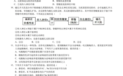 高二生物第一次月考卷01（A4考试版）测试范围：选择性必修1第1~2章（新高考通用）(1)_1多考区联考