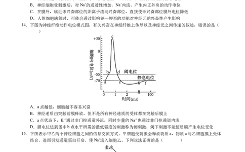 高二生物第一次月考卷01（A4考试版）测试范围：选择性必修1第1~2章（新高考通用）(1)_1多考区联考