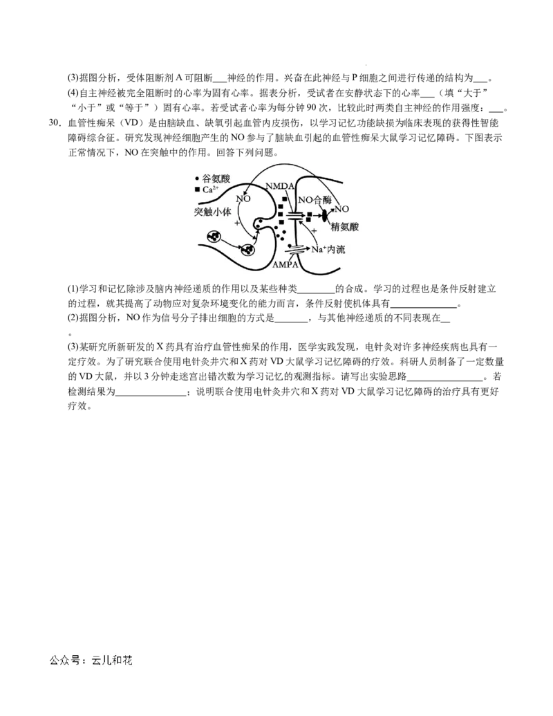 高二生物第一次月考卷01（A4考试版）测试范围：选择性必修1第1~2章（新高考通用）(1)_1多考区联考
