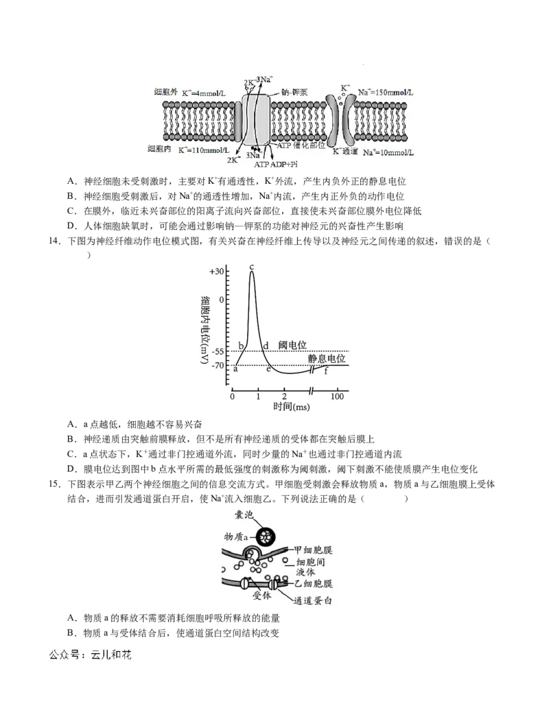 高二生物第一次月考卷01（A4考试版）测试范围：选择性必修1第1~2章（新高考通用）(1)_1多考区联考