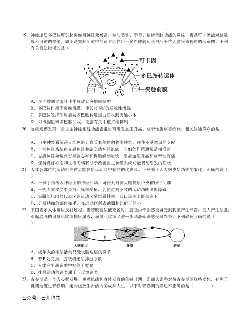 高二生物第一次月考卷01（A4考试版）测试范围：选择性必修1第1~2章（新高考通用）(1)_1多考区联考