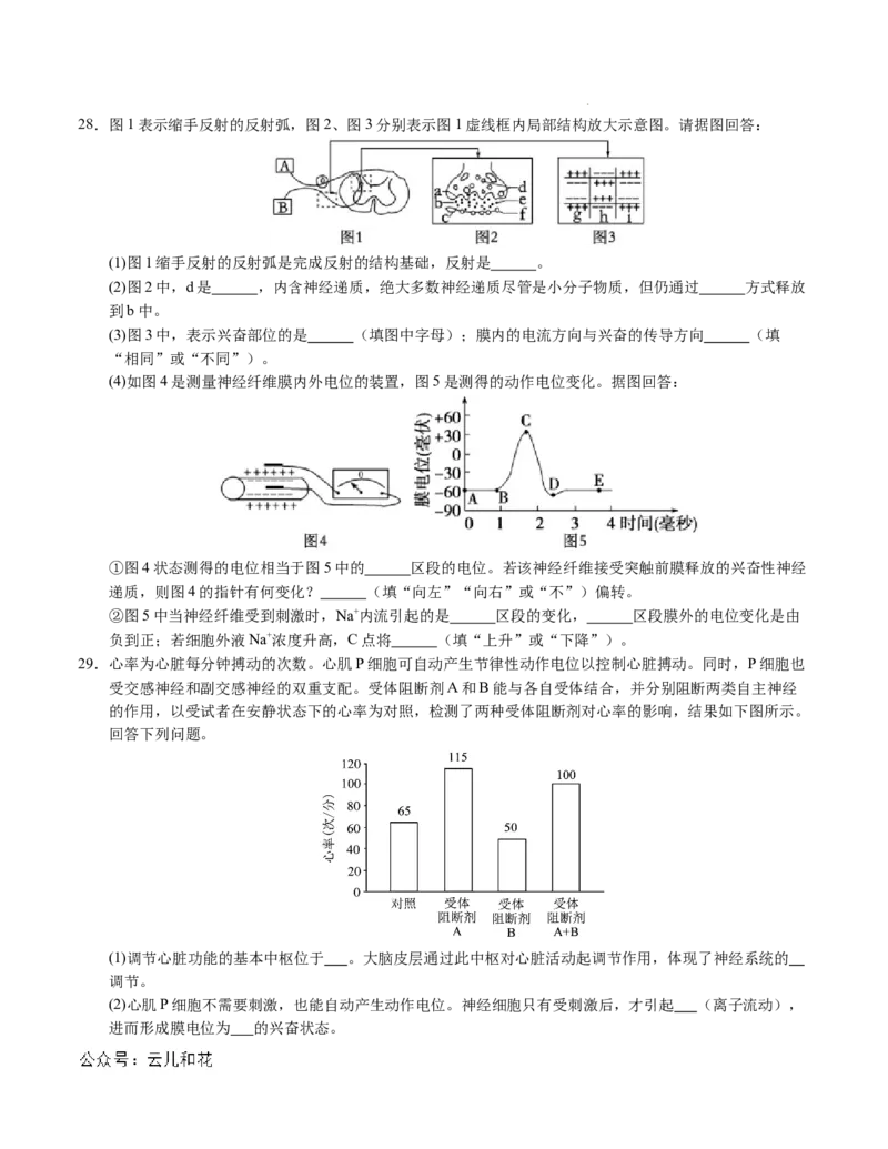 高二生物第一次月考卷01（A4考试版）测试范围：选择性必修1第1~2章（新高考通用）(1)_1多考区联考