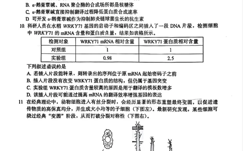 生物原卷_2025年11月_251119福建省全国名校联盟2026届高三上学期中考试（全科）_福建省全国名校联盟2026届高三上学期中考试生物