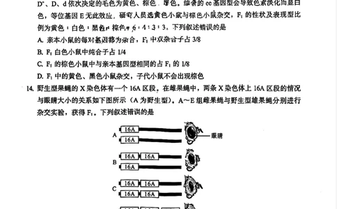 生物原卷_2025年11月_251119福建省全国名校联盟2026届高三上学期中考试（全科）_福建省全国名校联盟2026届高三上学期中考试生物