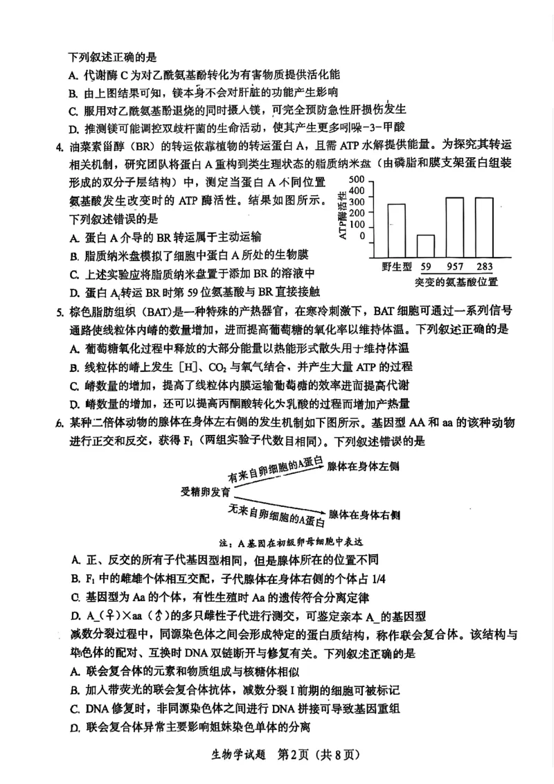 生物原卷_2025年11月_251119福建省全国名校联盟2026届高三上学期中考试（全科）_福建省全国名校联盟2026届高三上学期中考试生物