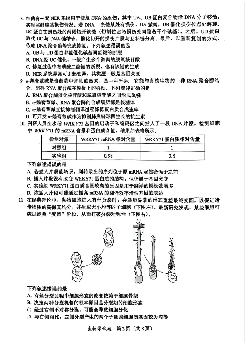 生物原卷_2025年11月_251119福建省全国名校联盟2026届高三上学期中考试（全科）_福建省全国名校联盟2026届高三上学期中考试生物