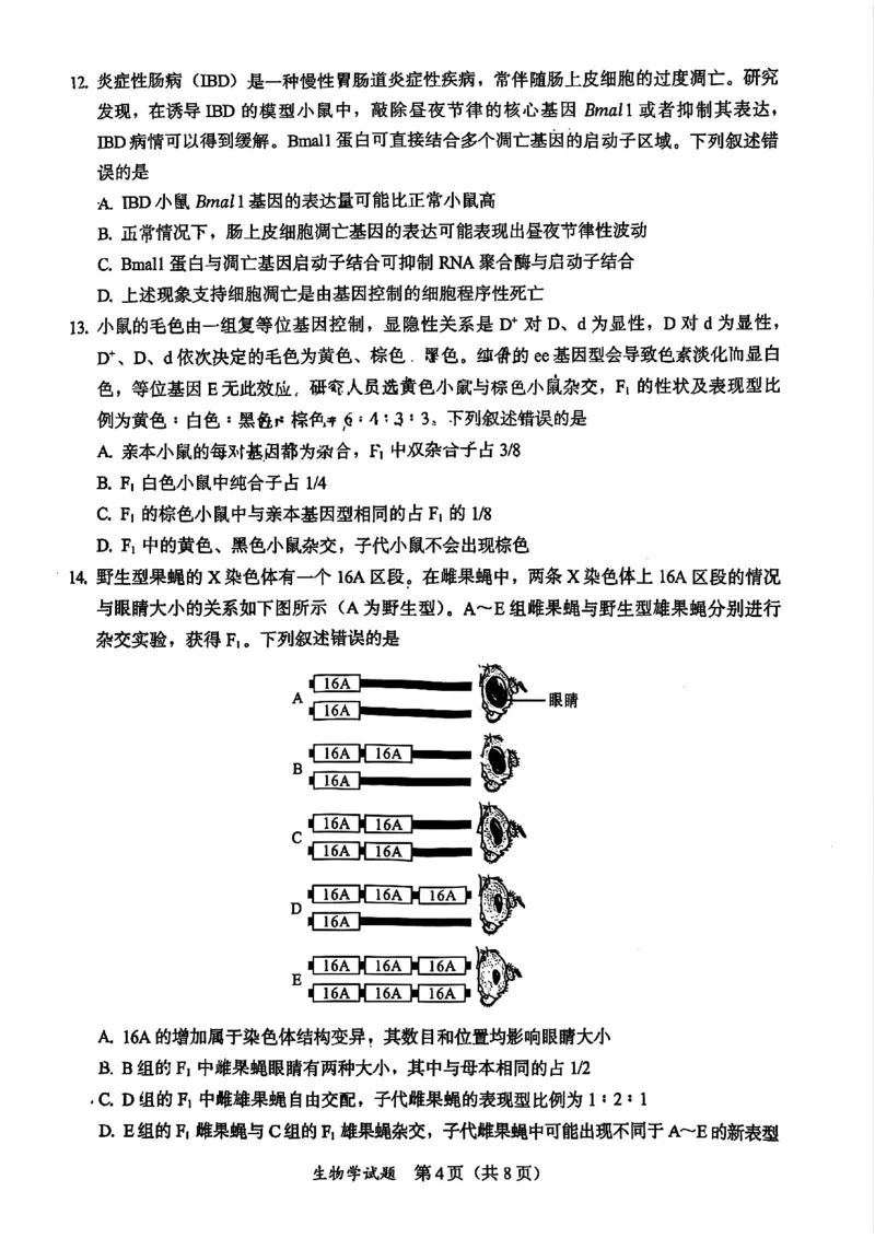 生物原卷_2025年11月_251119福建省全国名校联盟2026届高三上学期中考试（全科）_福建省全国名校联盟2026届高三上学期中考试生物