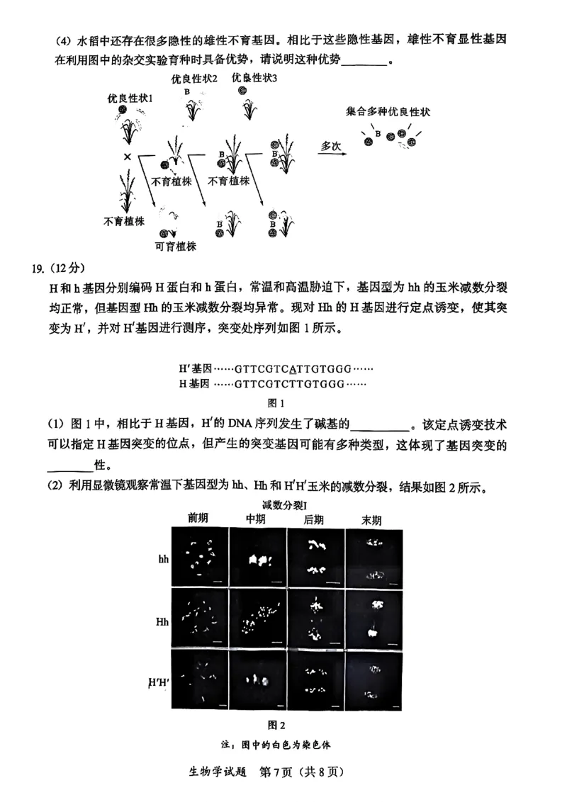 生物原卷_2025年11月_251119福建省全国名校联盟2026届高三上学期中考试（全科）_福建省全国名校联盟2026届高三上学期中考试生物