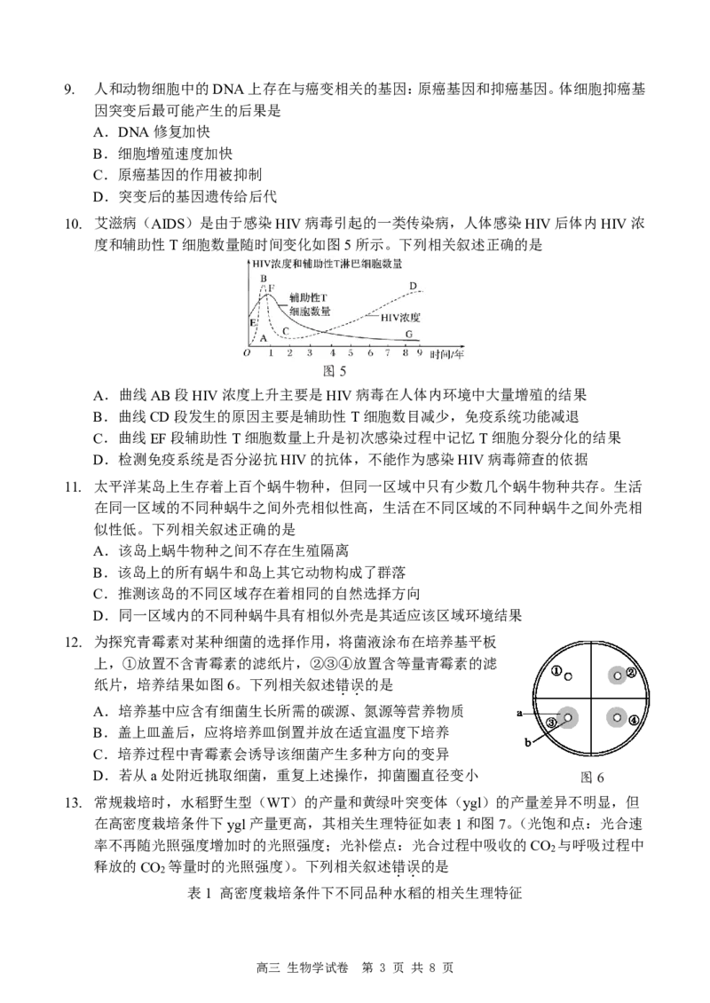 深圳市罗湖区2025-2026学年高三第一学期开学质量检测生物_2025年9月_250914广东省深圳市罗湖区2025-2026学年高三第一学期开学质量检测（全科）