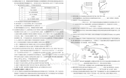 生物天一大联考&middot;2024-2025学年（下）高三第二次四省联考（陕西、山西、青海、宁夏）_2025年5月_天一大联考2024-2025学年（下）高三第二次四省联考（陕西、山西、青海、宁夏）_29