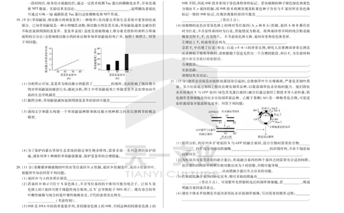 生物天一大联考&middot;2024-2025学年（下）高三第二次四省联考（陕西、山西、青海、宁夏）_2025年5月_天一大联考2024-2025学年（下）高三第二次四省联考（陕西、山西、青海、宁夏）_29