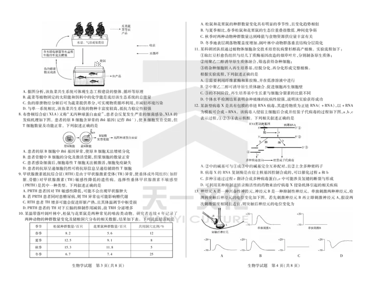 生物天一大联考&middot;2024-2025学年（下）高三第二次四省联考（陕西、山西、青海、宁夏）_2025年5月_天一大联考2024-2025学年（下）高三第二次四省联考（陕西、山西、青海、宁夏）_29