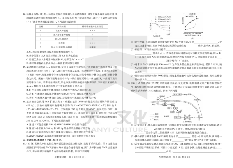 生物天一大联考&middot;2024-2025学年（下）高三第二次四省联考（陕西、山西、青海、宁夏）_2025年5月_天一大联考2024-2025学年（下）高三第二次四省联考（陕西、山西、青海、宁夏）_29
