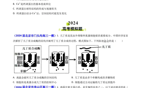 专题01细胞的分子组成-2024年高考真题和模拟题生物分类汇编（学生卷）_近10年高考真题汇编（必刷）_十年（2014-2024）高考生物真题分项汇编（全国通用）