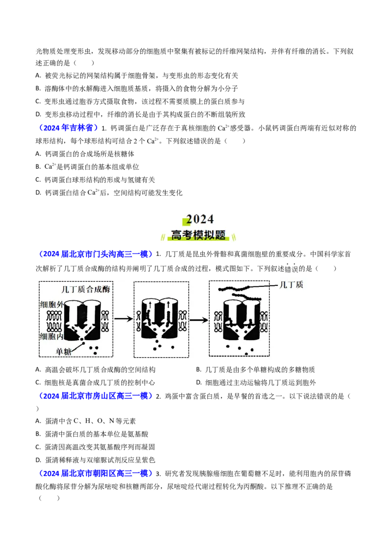专题01细胞的分子组成-2024年高考真题和模拟题生物分类汇编（学生卷）_近10年高考真题汇编（必刷）_十年（2014-2024）高考生物真题分项汇编（全国通用）