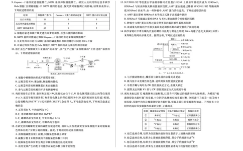 河南省2025-2026学年（上）高三年级天一小高考（一）生物_2025年10月_251028超清原版：天一大联考&middot;河南省2025-2026学年（上）高三年级天一小高考（一）（全科）
