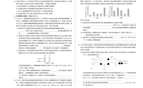 河南省2025-2026学年（上）高三年级天一小高考（一）生物_2025年10月_251028超清原版：天一大联考&middot;河南省2025-2026学年（上）高三年级天一小高考（一）（全科）