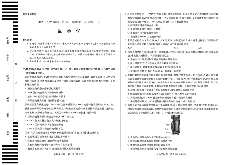 河南省2025-2026学年（上）高三年级天一小高考（一）生物_2025年10月_251028超清原版：天一大联考&middot;河南省2025-2026学年（上）高三年级天一小高考（一）（全科）