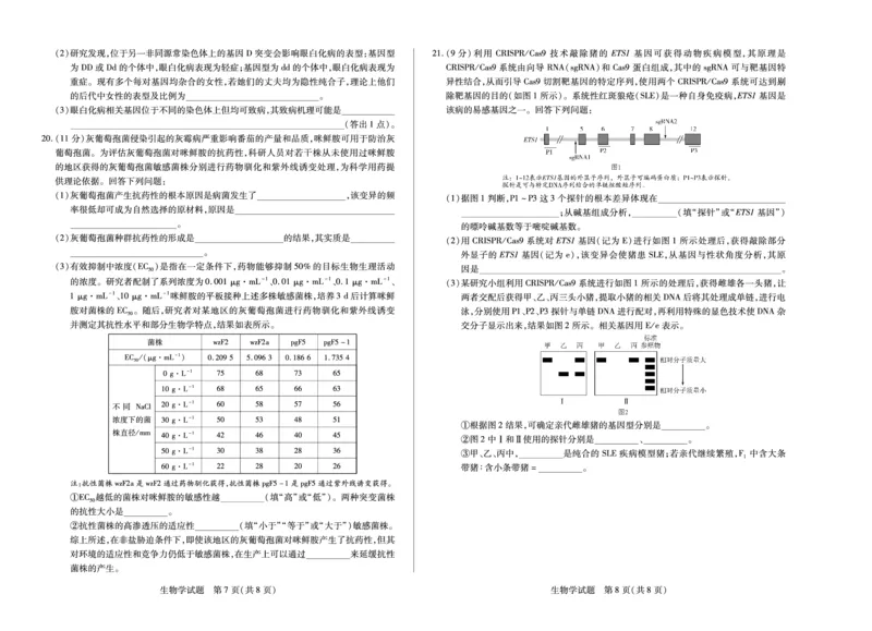 河南省2025-2026学年（上）高三年级天一小高考（一）生物_2025年10月_251028超清原版：天一大联考&middot;河南省2025-2026学年（上）高三年级天一小高考（一）（全科）