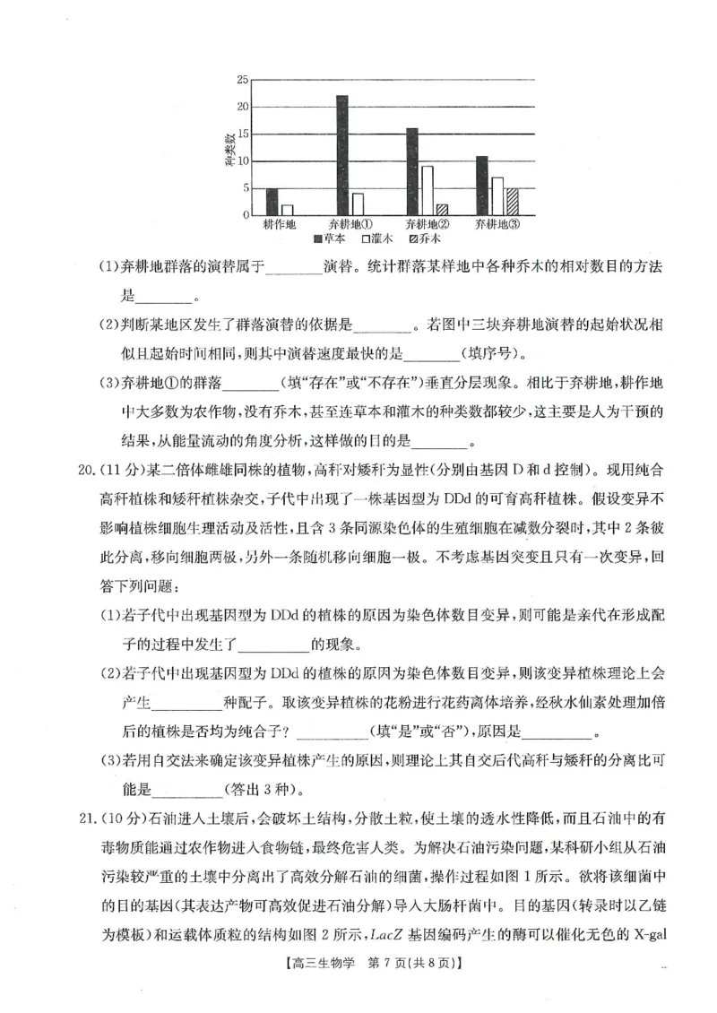 甘肃省武威市2025届高三上学期1月期末联考生物_2025年1月_250113甘肃省武威市2025届高三上学期1月期末联考（全科）_甘肃省武威市2025届高三上学期1月期末联考生物