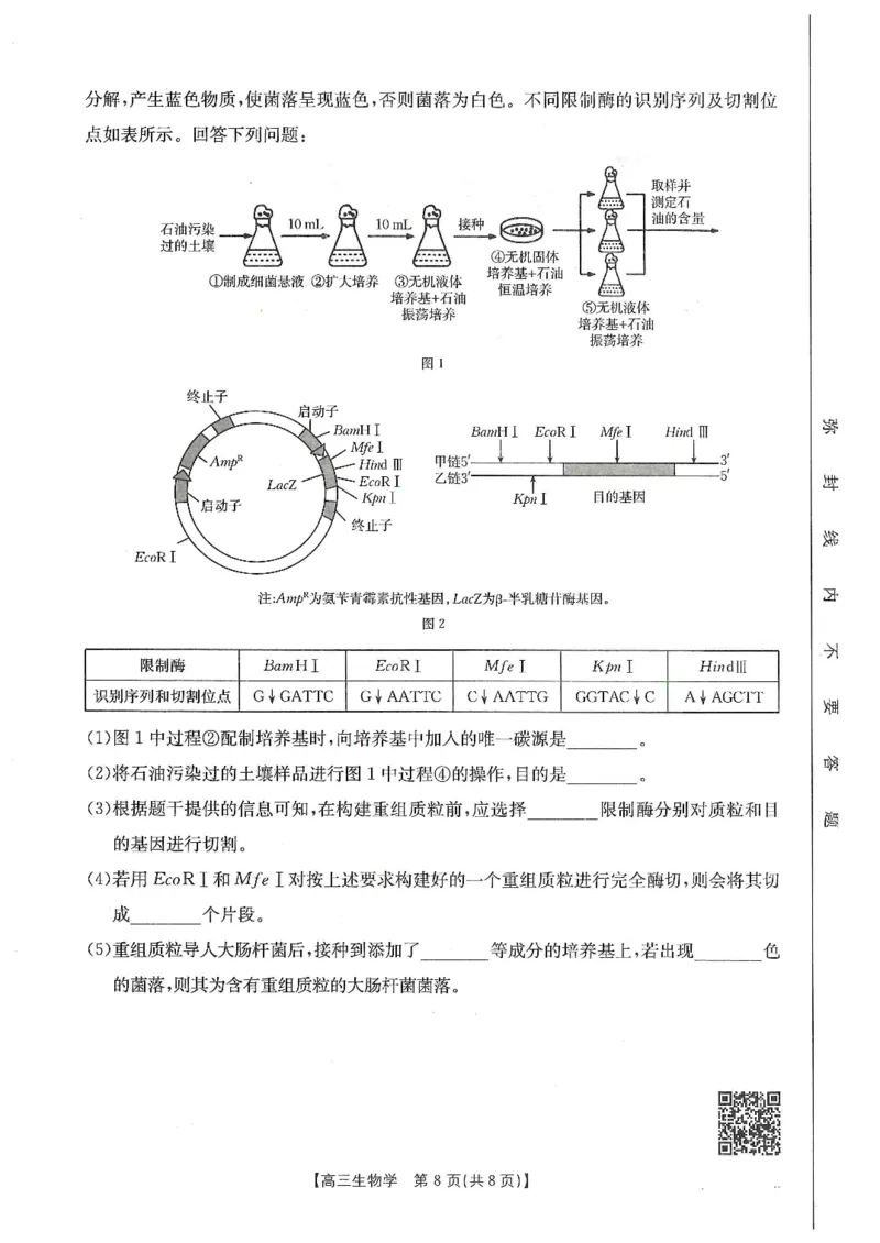 甘肃省武威市2025届高三上学期1月期末联考生物_2025年1月_250113甘肃省武威市2025届高三上学期1月期末联考（全科）_甘肃省武威市2025届高三上学期1月期末联考生物