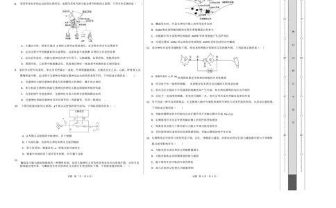 高二生物上学期第一次月考卷（四川专用）（考试版A3）_1多考区联考试卷_2510142025-2026学年高二生物上学期第一次月考试题