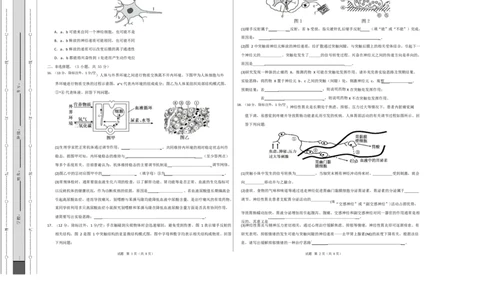 高二生物上学期第一次月考卷（四川专用）（考试版A3）_1多考区联考试卷_2510142025-2026学年高二生物上学期第一次月考试题