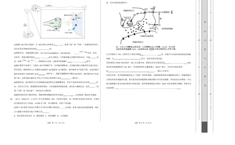 高二生物上学期第一次月考卷（四川专用）（考试版A3）_1多考区联考试卷_2510142025-2026学年高二生物上学期第一次月考试题