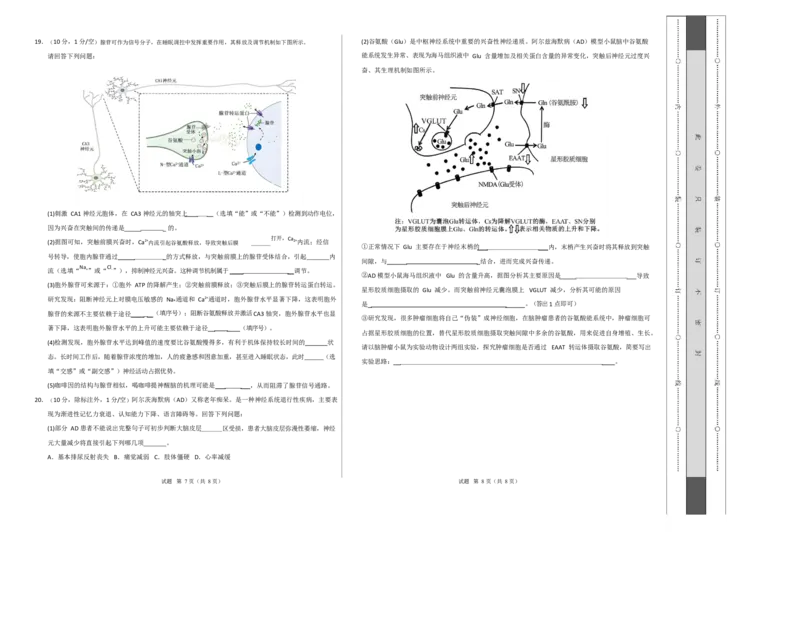 高二生物上学期第一次月考卷（四川专用）（考试版A3）_1多考区联考试卷_2510142025-2026学年高二生物上学期第一次月考试题