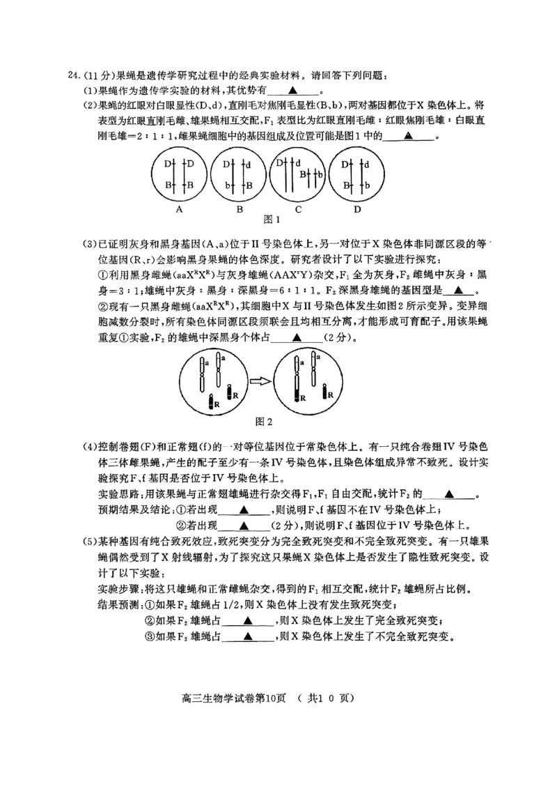 生物试卷+标答南京二模2025.05_2025年5月_2505122025届江苏省南京市高三二模第二次模拟考试（全科）_江苏省南京市2025届高三下学期第二次模拟考试生物