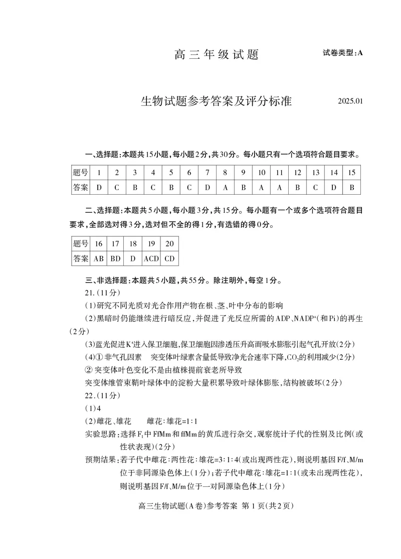 高三生物答案_2025年1月_250123山东省泰安市2024-2025学年高三上学期1月期末试题（全科）_山东省泰安市2024-2025学年高三上学期期末考试生物试题