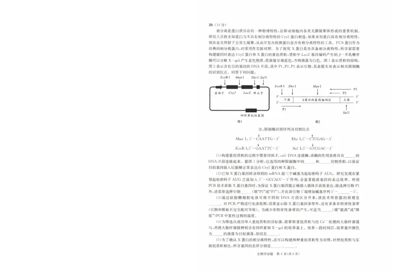 四川省成都市2022级高中毕业班第二次诊断性检测生物_2025年3月_250312四川省成都市2022级高中毕业班第二次诊断性检测（全科）_四川省成都市2022级高中毕业班第二次诊断性检测生物