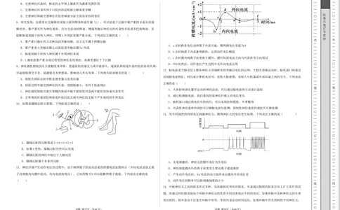 高二生物第一次月考卷测试范围：人教版2019选择性必修1第1章~第2章第3节（考试版A3）_1多考区联考试卷_2510142025-2026学年高二生物上学期第一次月考试题