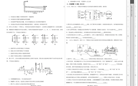 高二生物第一次月考卷测试范围：人教版2019选择性必修1第1章~第2章第3节（考试版A3）_1多考区联考试卷_2510142025-2026学年高二生物上学期第一次月考试题