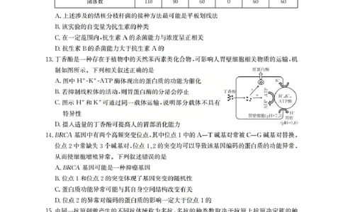 广东省部分学校2026届高三上学期10月联考生物C1_2025年10月_251020金太阳&middot;广东省2026届高三上学期10月联考（26-27C）（全科）