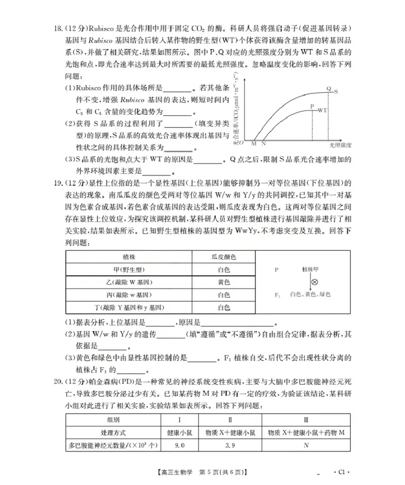 广东省部分学校2026届高三上学期10月联考生物C1_2025年10月_251020金太阳&middot;广东省2026届高三上学期10月联考（26-27C）（全科）