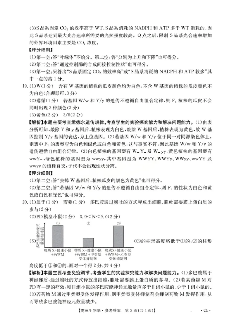 广东省部分学校2026届高三上学期10月联考生物C1_2025年10月_251020金太阳&middot;广东省2026届高三上学期10月联考（26-27C）（全科）