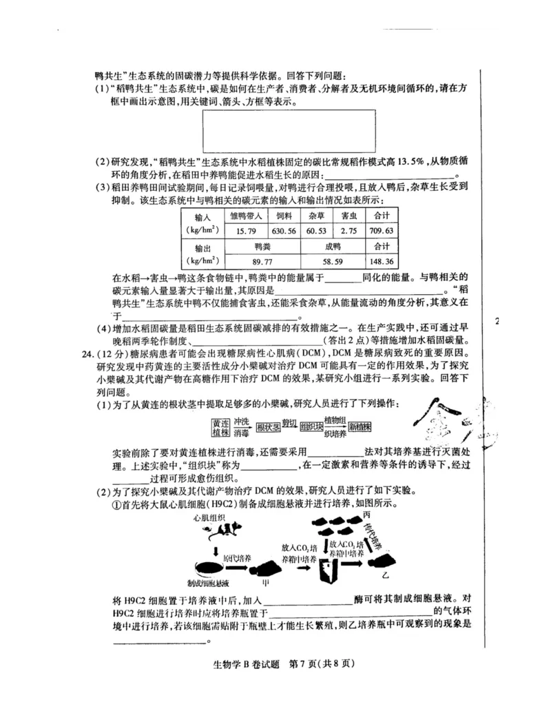 2024天星押题密卷《生物B卷》_2024高考押题卷_12024天星全系列_黑龙江版_生物