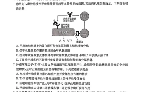 河北省邯郸市2025届高三下学期第三次调研监测生物试卷（含答案）_2025年3月_250314邯郸市2025届高三年级第三次调研监测
