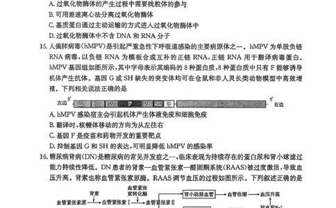 河北省邯郸市2025届高三下学期第三次调研监测生物试卷（含答案）_2025年3月_250314邯郸市2025届高三年级第三次调研监测
