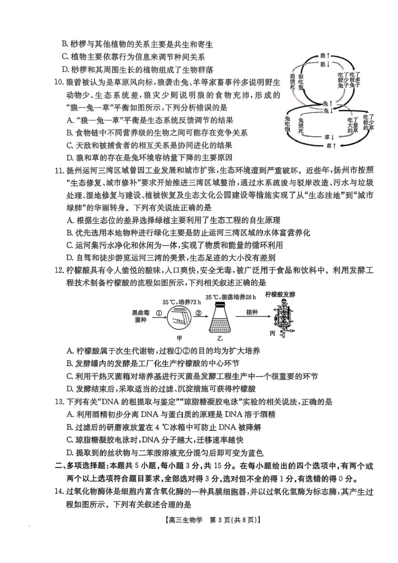 河北省邯郸市2025届高三下学期第三次调研监测生物试卷（含答案）_2025年3月_250314邯郸市2025届高三年级第三次调研监测