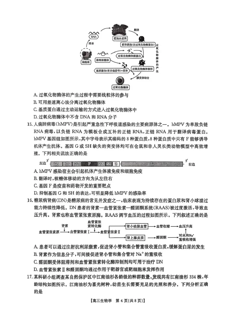 河北省邯郸市2025届高三下学期第三次调研监测生物试卷（含答案）_2025年3月_250314邯郸市2025届高三年级第三次调研监测