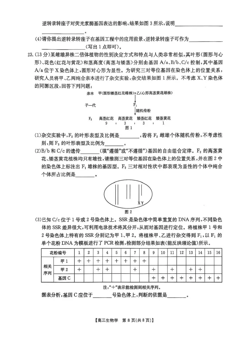 河北省邯郸市2025届高三下学期第三次调研监测生物试卷（含答案）_2025年3月_250314邯郸市2025届高三年级第三次调研监测