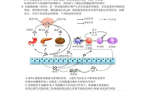 安徽省黄山市、宣城市2025届高三下学期毕业班质量检测（二模）生物试卷（图片版）_2025年4月_250415安徽省宣城市黄山市2025届高三4月第二次模拟（全科）