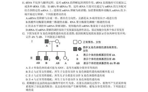 安徽省黄山市、宣城市2025届高三下学期毕业班质量检测（二模）生物试卷（图片版）_2025年4月_250415安徽省宣城市黄山市2025届高三4月第二次模拟（全科）