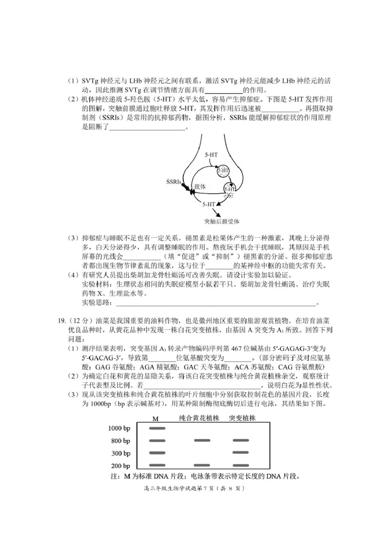 安徽省黄山市、宣城市2025届高三下学期毕业班质量检测（二模）生物试卷（图片版）_2025年4月_250415安徽省宣城市黄山市2025届高三4月第二次模拟（全科）
