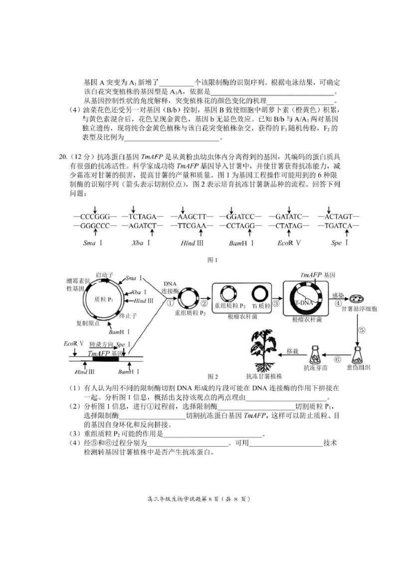 安徽省黄山市、宣城市2025届高三下学期毕业班质量检测（二模）生物试卷（图片版）_2025年4月_250415安徽省宣城市黄山市2025届高三4月第二次模拟（全科）