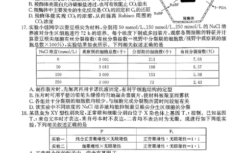 生物_2025年9月_250926河北省2025-2026学年高三上学期9月质量检测（26-L-056C）_河北省2025-2026学年高三上学期9月质量检测生物