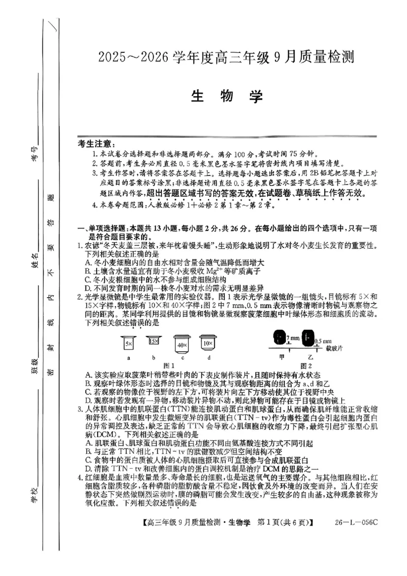 生物_2025年9月_250926河北省2025-2026学年高三上学期9月质量检测（26-L-056C）_河北省2025-2026学年高三上学期9月质量检测生物