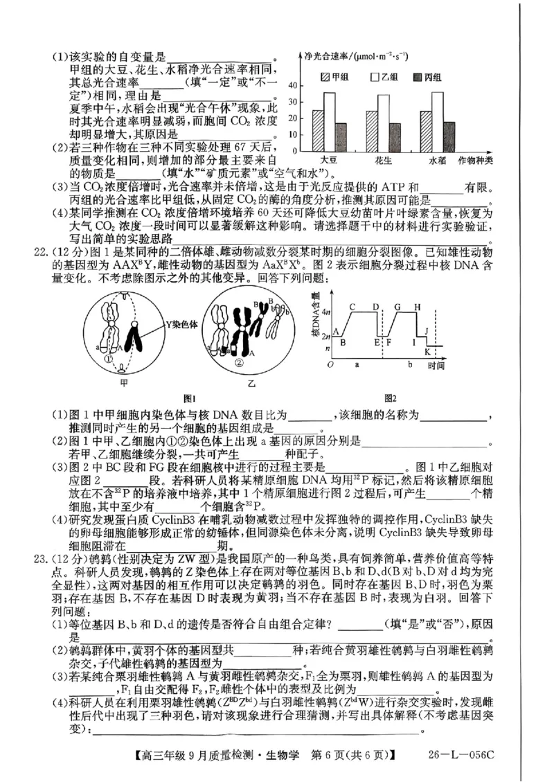 生物_2025年9月_250926河北省2025-2026学年高三上学期9月质量检测（26-L-056C）_河北省2025-2026学年高三上学期9月质量检测生物